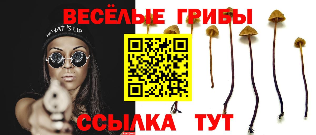 купить  цена  Псилоцибиновые грибы Magic Shrooms  Вход с VPN  Галлюциногенные грибы Cubensis  Красногорск 